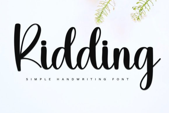 Ridding: A Handwritten Font for Clear Campaigns